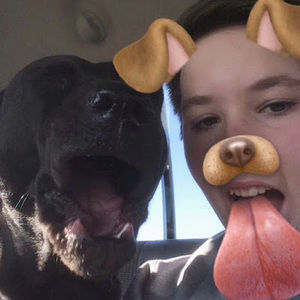 Meet your Posher, Ginger